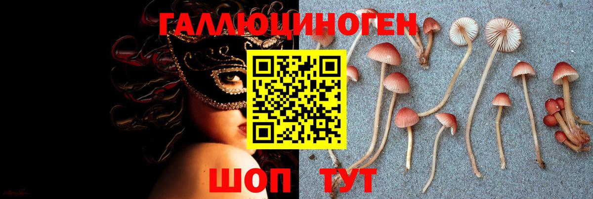 Галлюциногенные грибы Cubensis Чебоксары