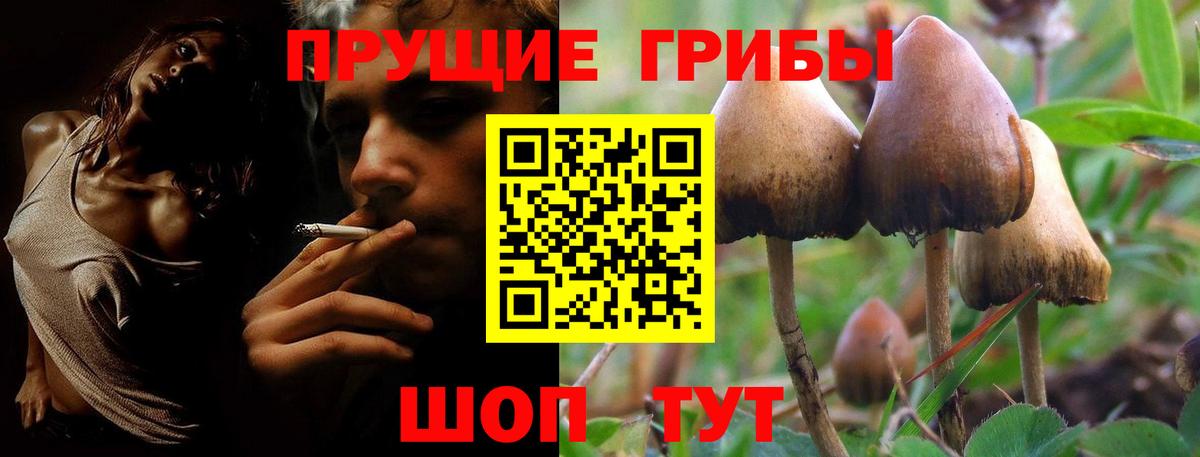 Галлюциногенные грибы ЛСД  Псилоцибиновые грибы MAGIC MUSHROOMS  купить наркотики сайты  Чебоксары  Вход с VPN 